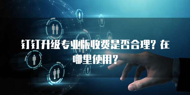 钉钉升级专业版收费是否合理？在哪里使用？
