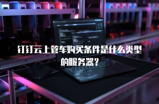 钉钉云上管车购买条件是什么类型的服务器？