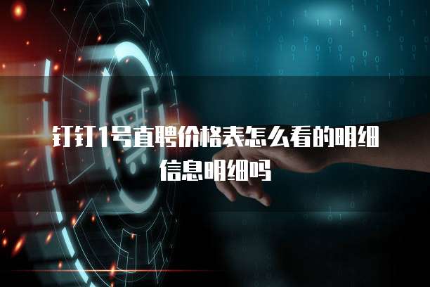 钉钉1号直聘价格表怎么看的明细信息明细吗