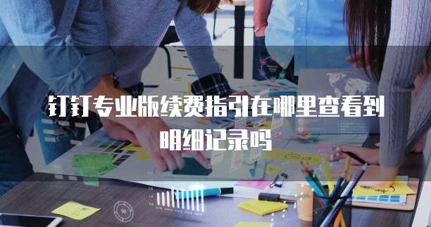 钉钉专业版续费指引在哪里查看到明细记录吗