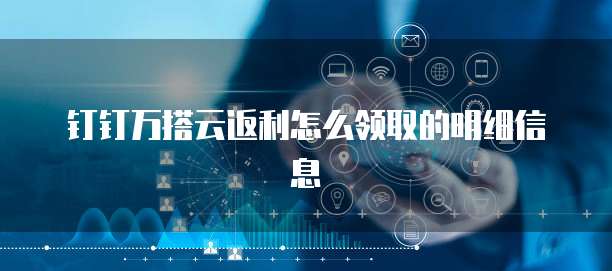 钉钉万搭云返利怎么领取的明细信息