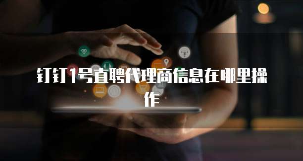 钉钉1号直聘代理商信息在哪里操作
