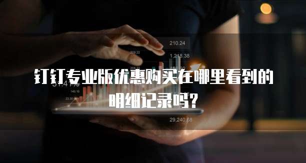 钉钉专业版优惠购买在哪里看到的明细记录吗?