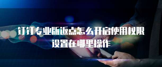 钉钉专业版返点怎么开启使用权限设置在哪里操作