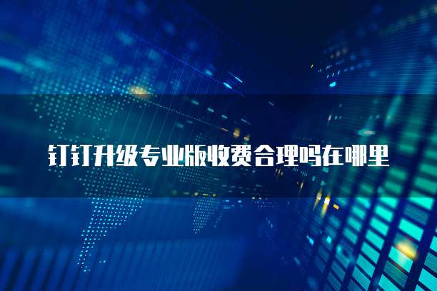 钉钉升级专业版收费合理吗在哪里