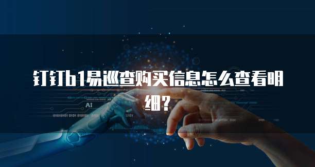 钉钉B1易巡查购买信息怎么查看明细?