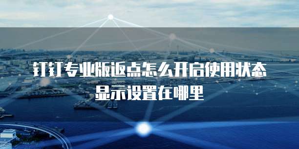 钉钉专业版返点怎么开启使用状态显示设置在哪里