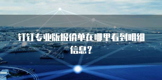 钉钉专业版报价单在哪里看到明细信息?