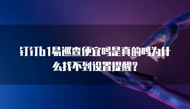 钉钉b1易巡查便宜吗是真的吗为什么找不到设置提醒?