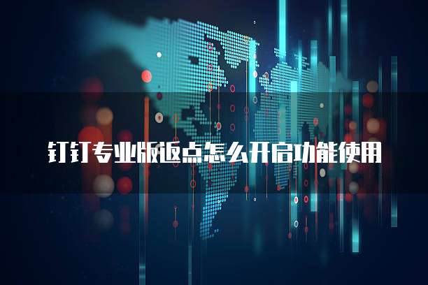 钉钉专业版返点怎么开启功能使用