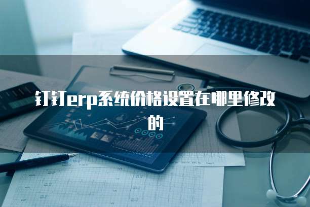 钉钉erp系统价格设置在哪里修改的