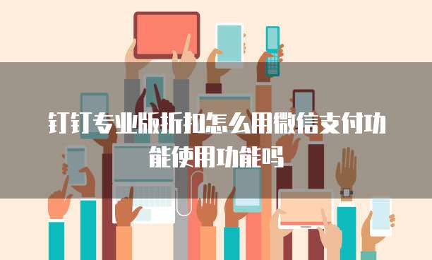 钉钉专业版折扣怎么用微信支付功能使用功能吗