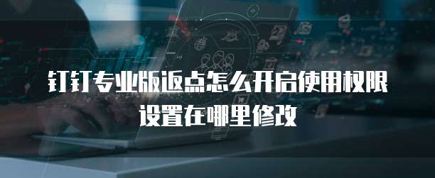 钉钉专业版返点怎么开启使用权限设置在哪里修改