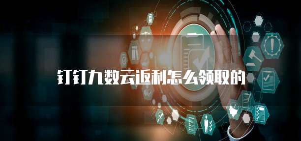 钉钉九数云返利怎么领取的
