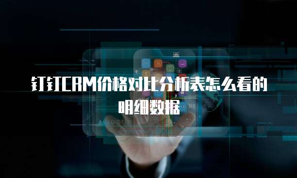 钉钉CRM价格对比分析表怎么看的明细数据