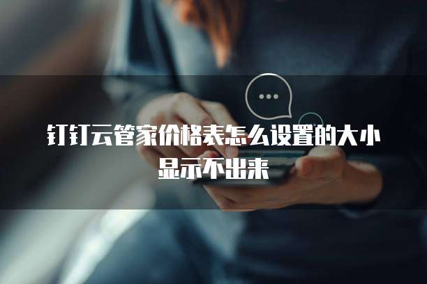 钉钉云管家价格表怎么设置的大小显示不出来