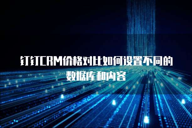 钉钉CRM价格对比如何设置不同的数据库和内容