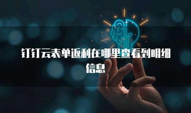 钉钉云表单返利在哪里查看到明细信息