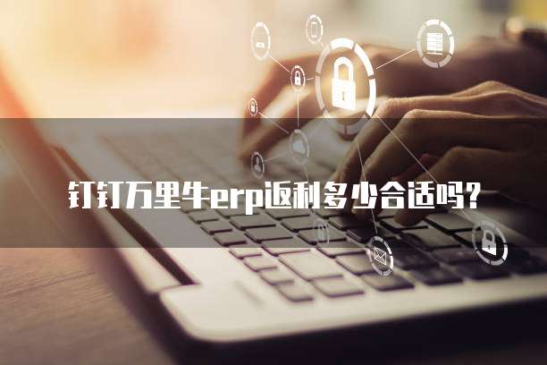 钉钉万里牛erp返利多少合适吗?