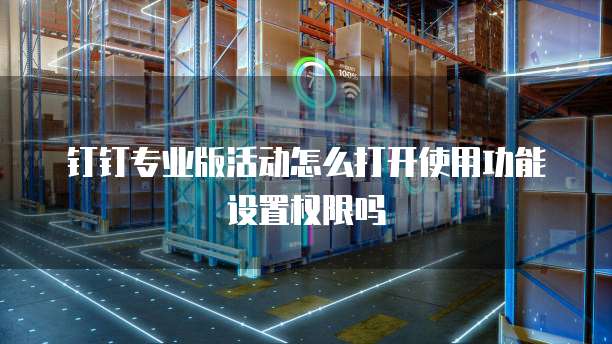 钉钉专业版活动怎么打开使用功能设置权限吗