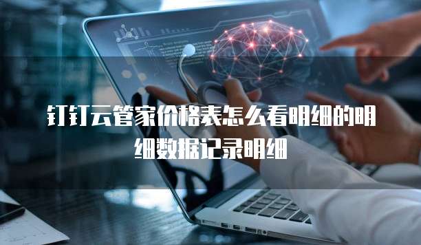 钉钉云管家价格表怎么看明细的明细数据记录明细