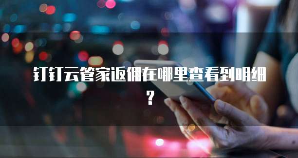 钉钉云管家返佣在哪里查看到明细?