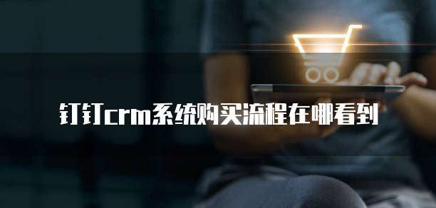 钉钉crm系统购买流程在哪看到