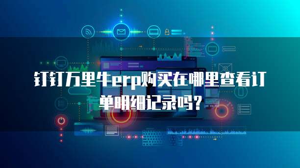 钉钉万里牛erp购买在哪里查看订单明细记录吗?