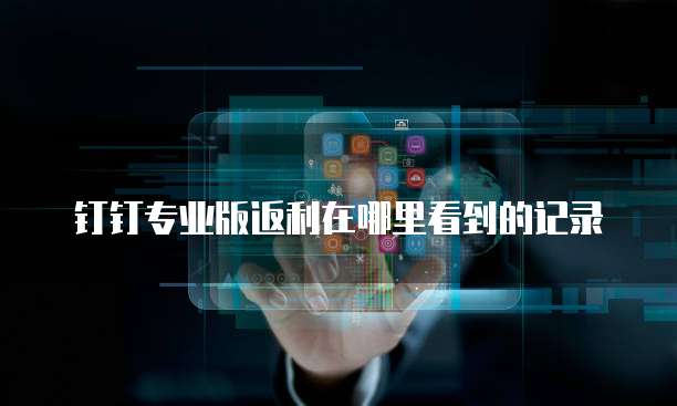 钉钉专业版返利在哪里看到的记录