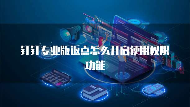 钉钉专业版返点怎么开启使用权限功能
