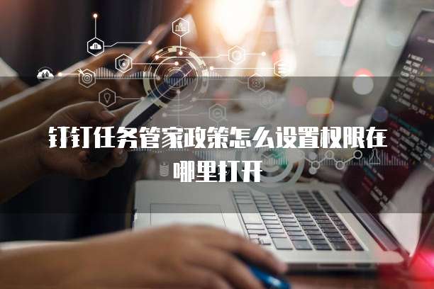 钉钉任务管家政策怎么设置权限在哪里打开