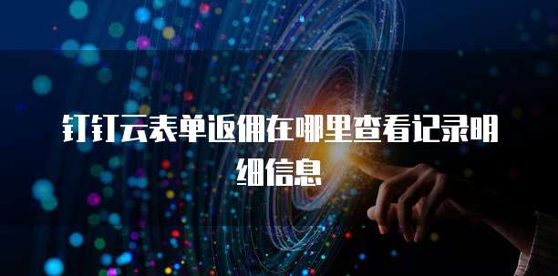 钉钉云表单返佣在哪里查看记录明细信息