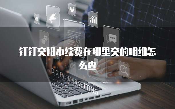 钉钉交班本续费在哪里交的明细怎么查
