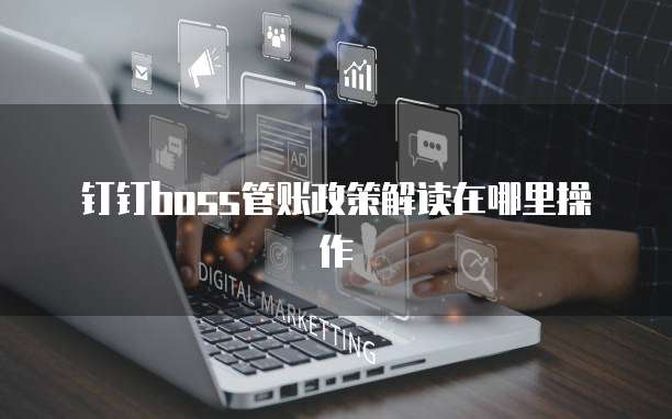 钉钉boss管账政策解读在哪里操作