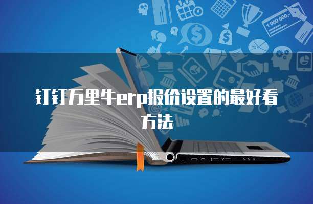 钉钉万里牛erp报价设置的最好看方法