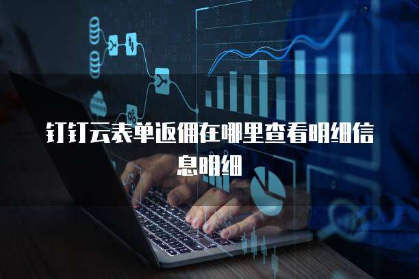 钉钉云表单返佣在哪里查看明细信息明细