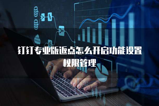 钉钉专业版返点怎么开启功能设置权限管理