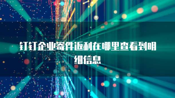 钉钉企业寄件返利在哪里查看到明细信息