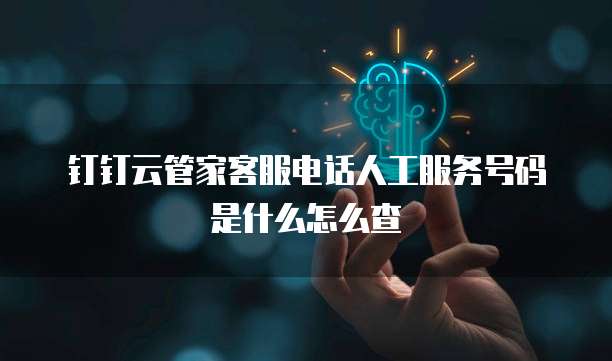 钉钉云管家客服电话人工服务号码是什么怎么查