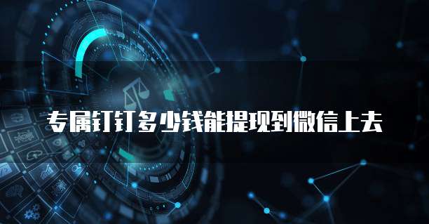 专属钉钉多少钱能提现到微信上去