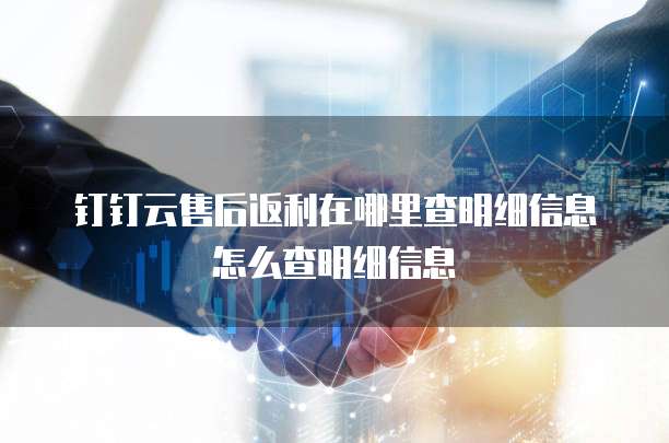 钉钉云售后返利在哪里查明细信息怎么查明细信息