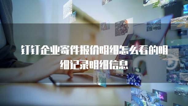 钉钉企业寄件报价明细怎么看的明细记录明细信息