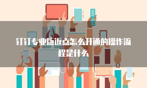 钉钉专业版返点怎么开通的操作流程是什么