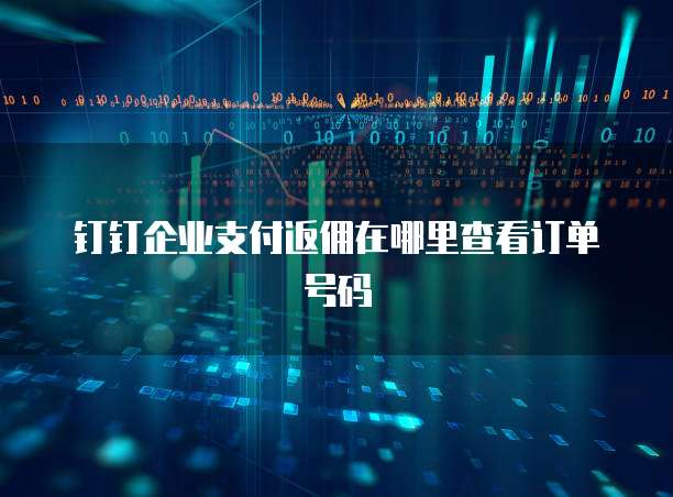 钉钉企业支付返佣在哪里查看订单号码