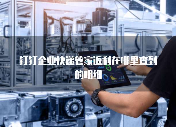 钉钉企业快递管家返利在哪里查到的明细