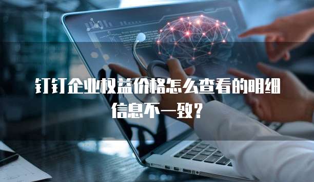 钉钉企业权益价格怎么查看的明细信息不一致?