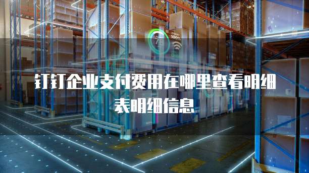钉钉企业支付费用在哪里查看明细表明细信息