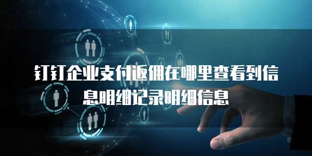 钉钉企业支付返佣在哪里查看到信息明细记录明细信息