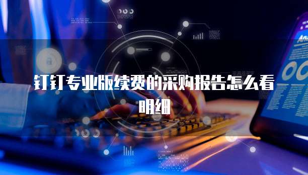 钉钉专业版续费的采购报告怎么看明细