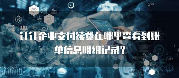 钉钉企业支付续费在哪里查看到账单信息明细记录？
